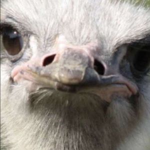 Meet your Posher, Jack